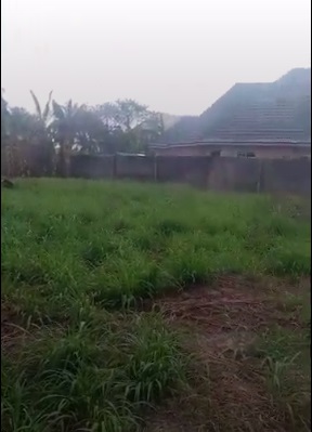 36d19784-f36a-11ef-aee0-f02f74d6e125